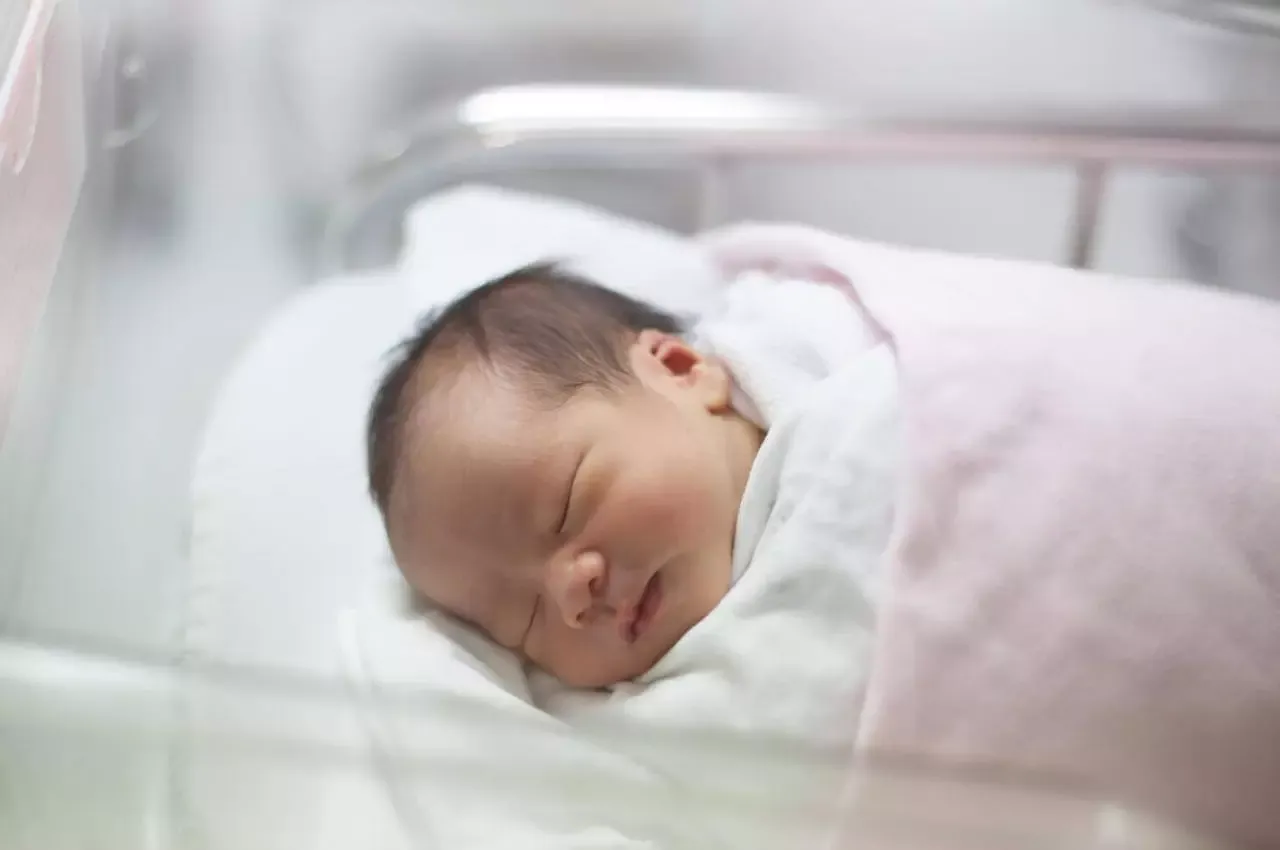 Newborn Infant Asleep